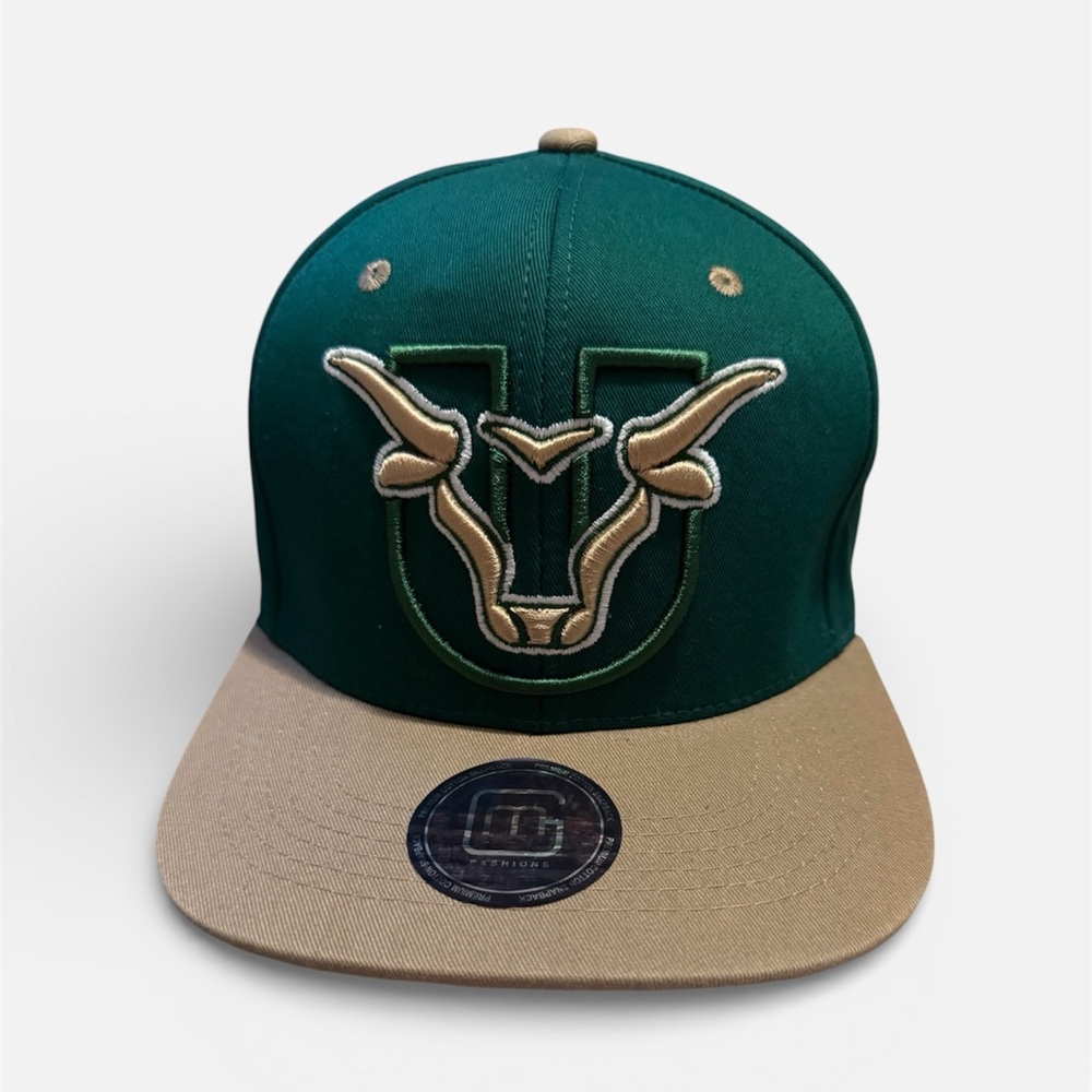 This is a Zephyr South Florida Bulls 2-tone green